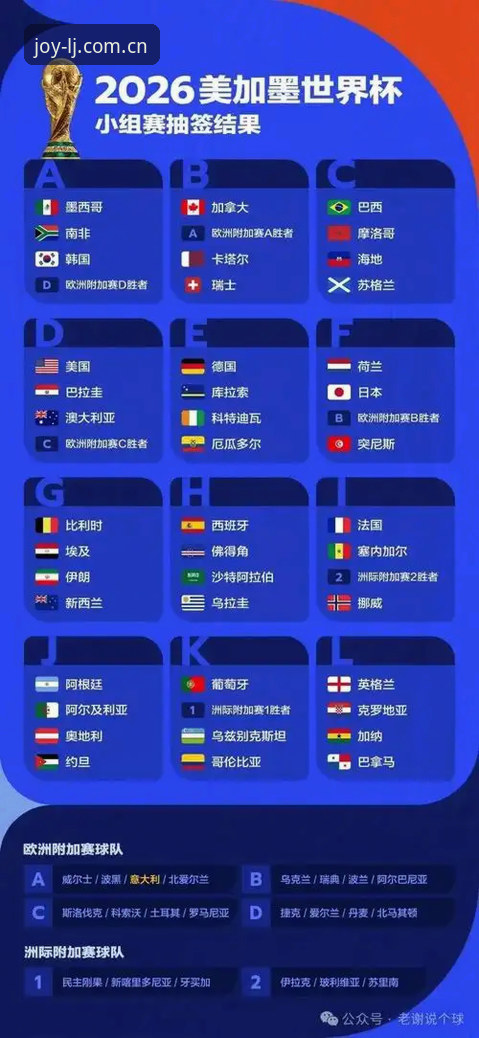 乐竞体育平台观赛指南：世界杯签证危机下的观赛策略与实时信息获取
